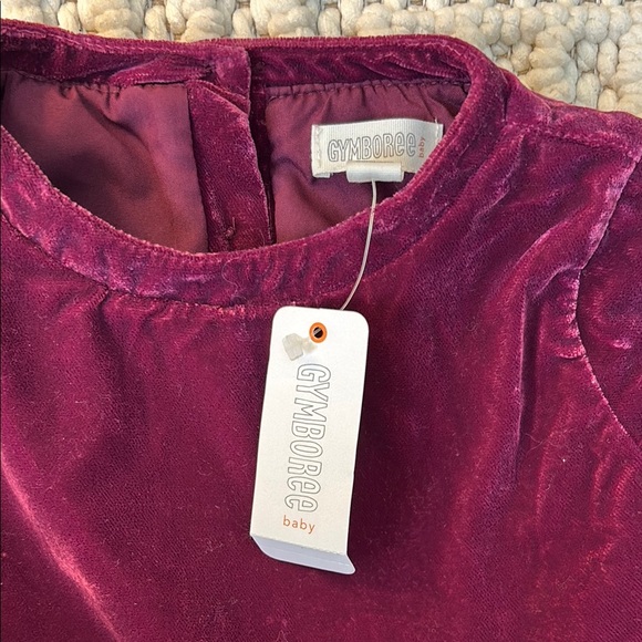 Gymboree Velvet Burgundy Kids Dress - Picture 2 of 7